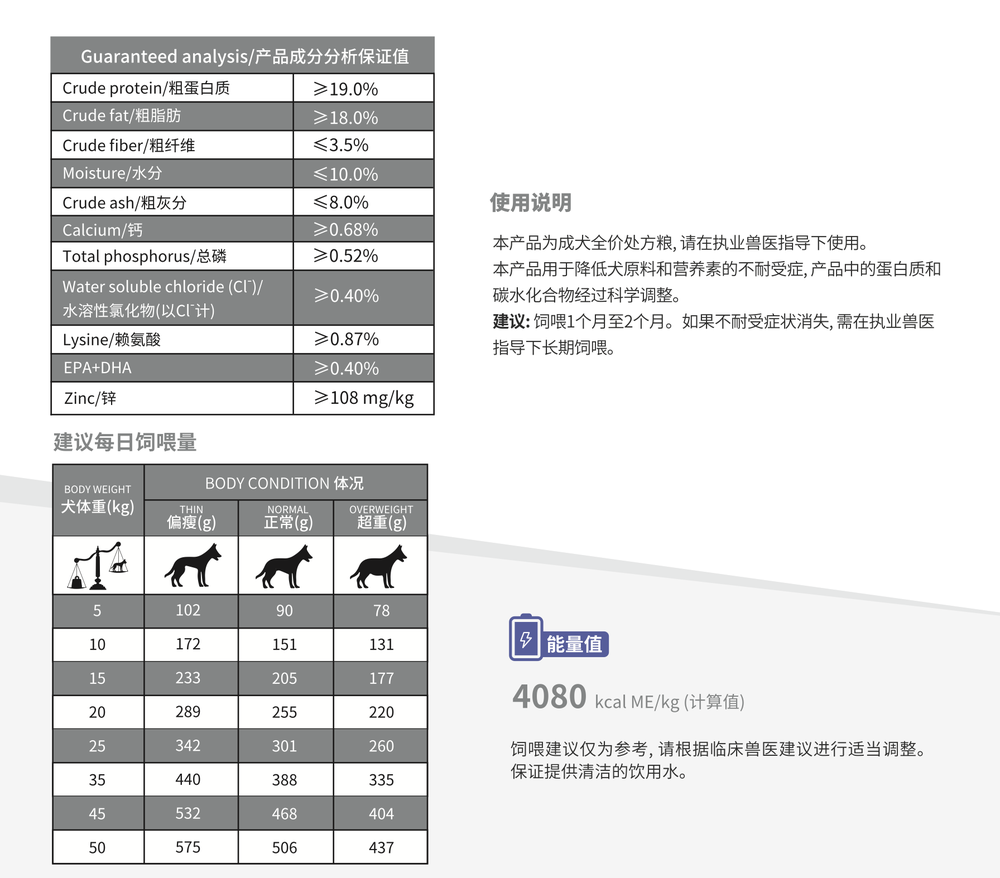 犬2.png